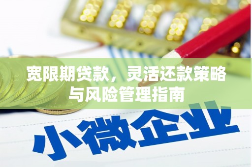 冷水江宽限期贷款，灵活还款策略与风险管理指南