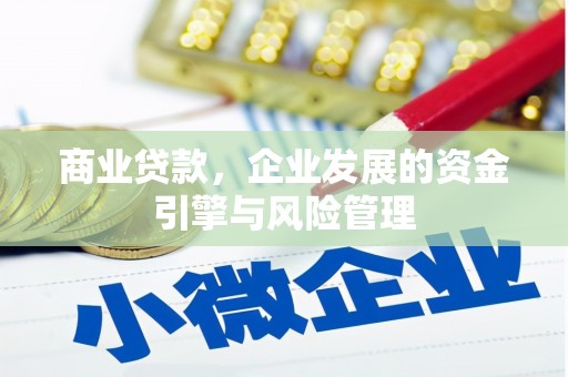 冷水江商业贷款，企业发展的资金引擎与风险管理