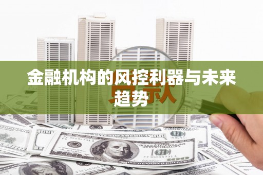 冷水江金融机构的风控利器与未来趋势