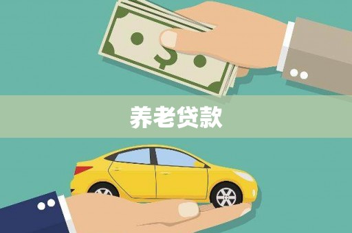 冷水江养老贷款