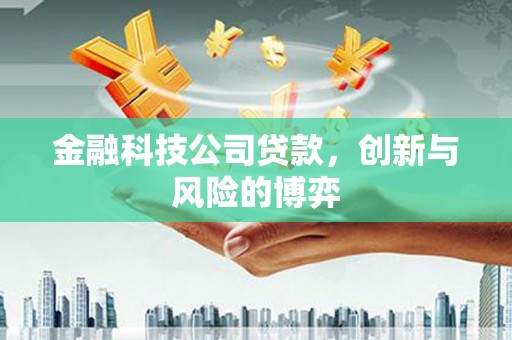 冷水江金融科技公司贷款，创新与风险的博弈