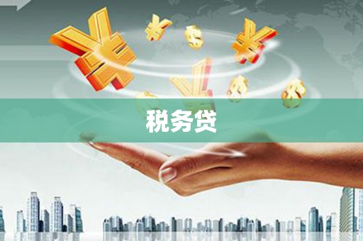 冷水江税务贷