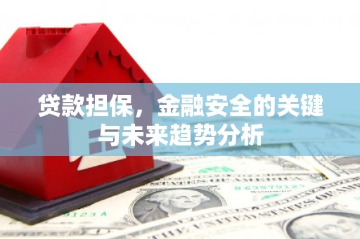 冷水江贷款担保，金融安全的关键与未来趋势分析