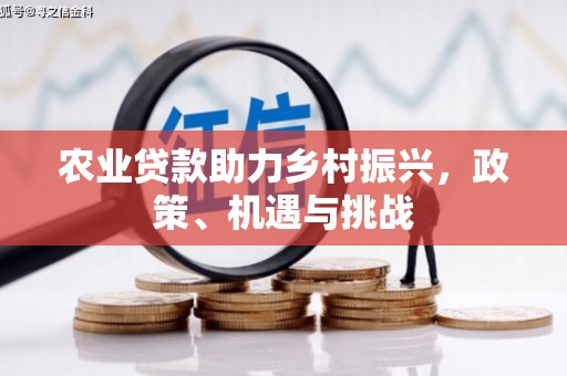 冷水江农业贷款助力乡村振兴，政策、机遇与挑战