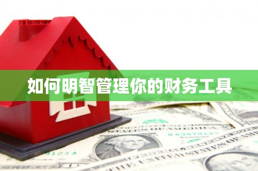 冷水江如何明智管理你的财务工具
