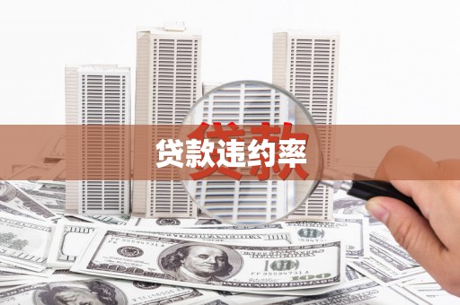 冷水江贷款违约率