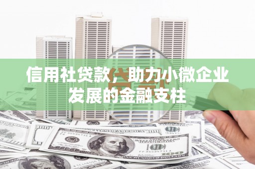 冷水江信用社贷款，助力小微企业发展的金融支柱