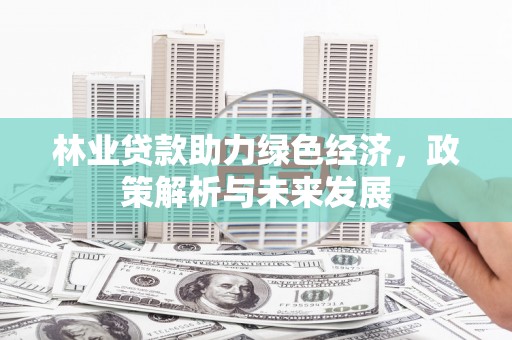 冷水江林业贷款助力绿色经济，政策解析与未来发展