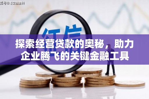 冷水江探索经营贷款的奥秘，助力企业腾飞的关键金融工具