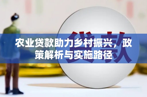 冷水江农业贷款助力乡村振兴，政策解析与实施路径