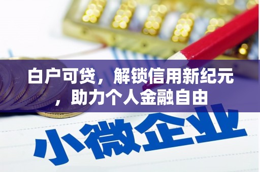 冷水江白户可贷，解锁信用新纪元，助力个人金融自由