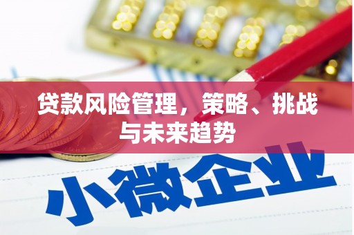 冷水江贷款风险管理，策略、挑战与未来趋势