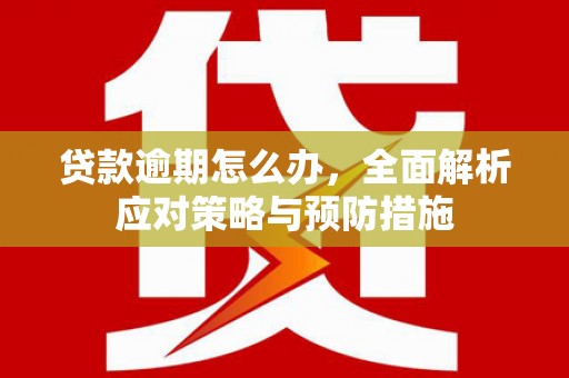 冷水江贷款逾期怎么办，全面解析应对策略与预防措施