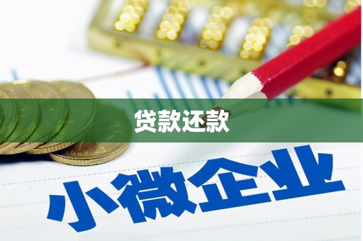 冷水江贷款还款