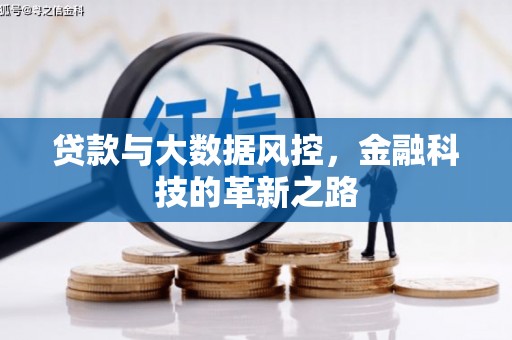 冷水江贷款与大数据风控，金融科技的革新之路