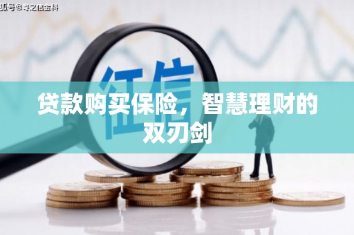 冷水江贷款购买保险，智慧理财的双刃剑
