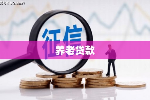 冷水江养老贷款