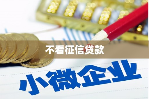 冷水江不看征信贷款
