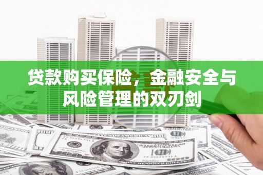 冷水江贷款购买保险，金融安全与风险管理的双刃剑