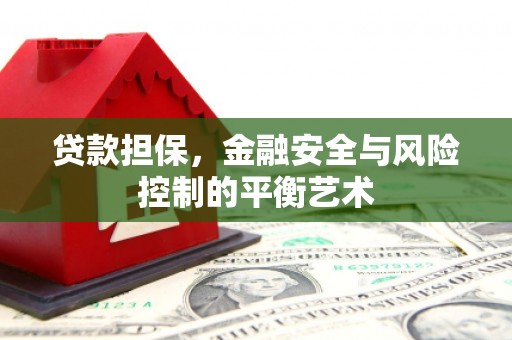 冷水江贷款担保，金融安全与风险控制的平衡艺术