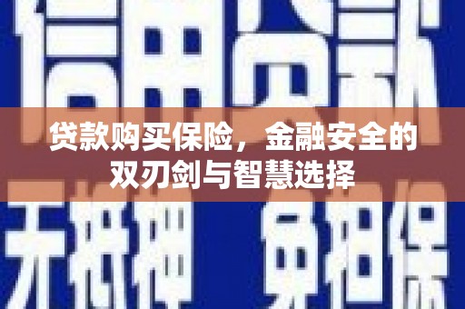 冷水江贷款购买保险，金融安全的双刃剑与智慧选择
