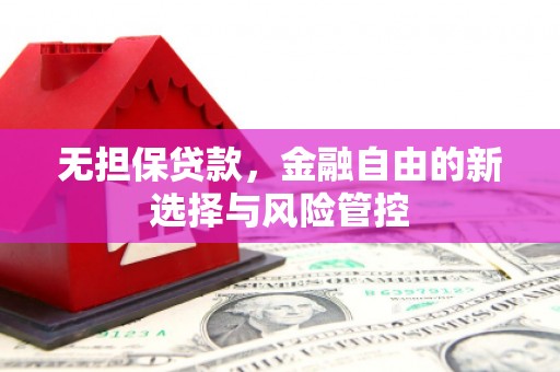 冷水江无担保贷款，金融自由的新选择与风险管控