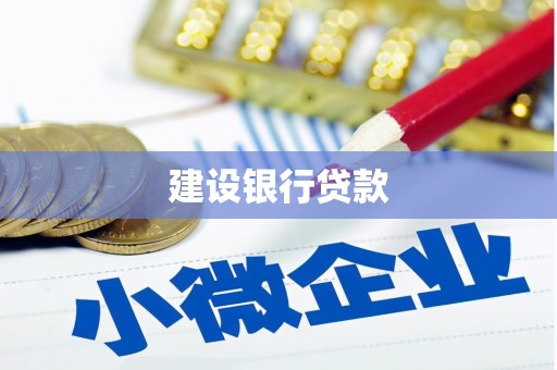 冷水江建设银行贷款