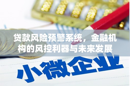 冷水江贷款风险预警系统，金融机构的风控利器与未来发展