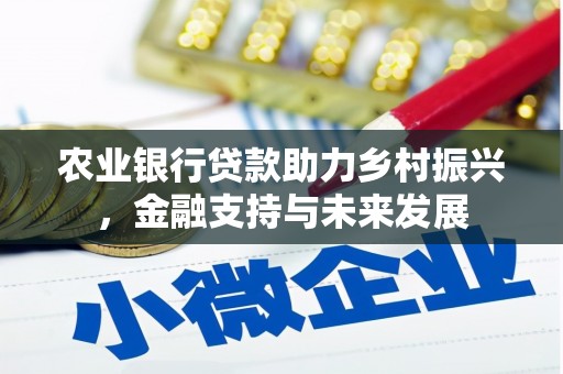 冷水江农业银行贷款助力乡村振兴，金融支持与未来发展