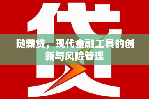冷水江随薪贷，现代金融工具的创新与风险管理