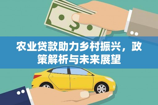 冷水江农业贷款助力乡村振兴，政策解析与未来展望