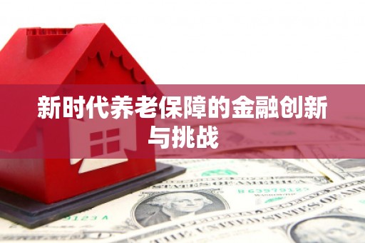 冷水江新时代养老保障的金融创新与挑战