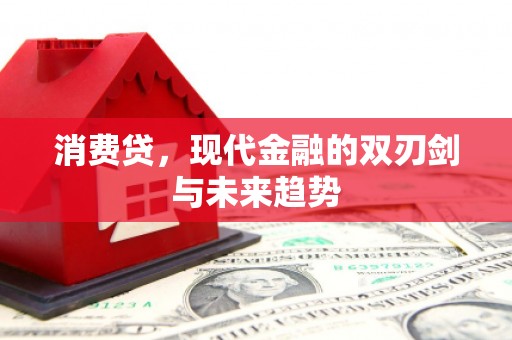 冷水江消费贷，现代金融的双刃剑与未来趋势