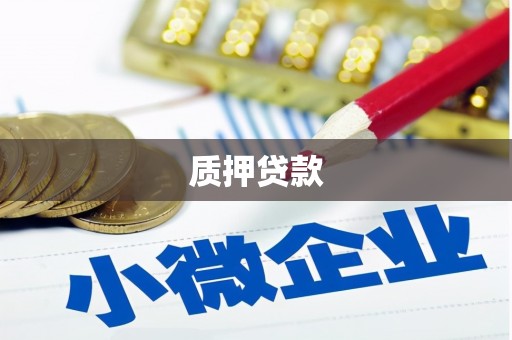 冷水江质押贷款