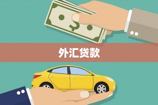 冷水江外汇贷款