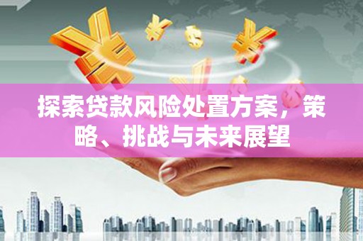 冷水江探索贷款风险处置方案，策略、挑战与未来展望