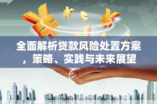 冷水江全面解析贷款风险处置方案，策略、实践与未来展望