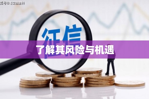 冷水江了解其风险与机遇