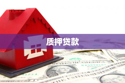 冷水江质押贷款