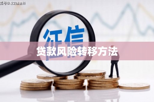 冷水江贷款风险转移方法