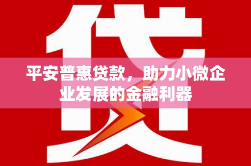 冷水江平安普惠贷款，助力小微企业发展的金融利器