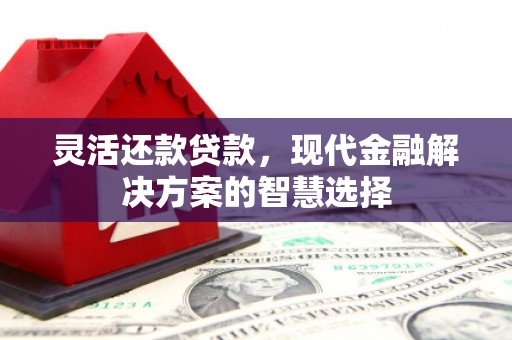 冷水江灵活还款贷款，现代金融解决方案的智慧选择