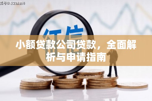 冷水江小额贷款公司贷款，全面解析与申请指南