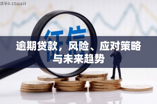冷水江逾期贷款，风险、应对策略与未来趋势