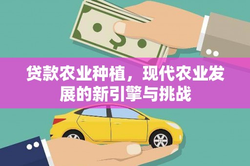 冷水江贷款农业种植，现代农业发展的新引擎与挑战