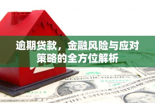 冷水江逾期贷款，金融风险与应对策略的全方位解析