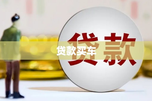冷水江贷款买车