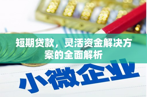 冷水江短期贷款，灵活资金解决方案的全面解析