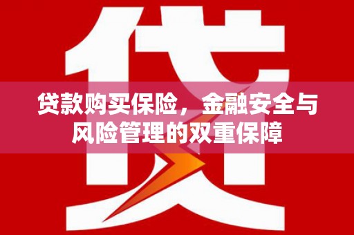 冷水江贷款购买保险，金融安全与风险管理的双重保障
