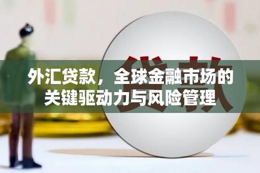 冷水江外汇贷款，全球金融市场的关键驱动力与风险管理